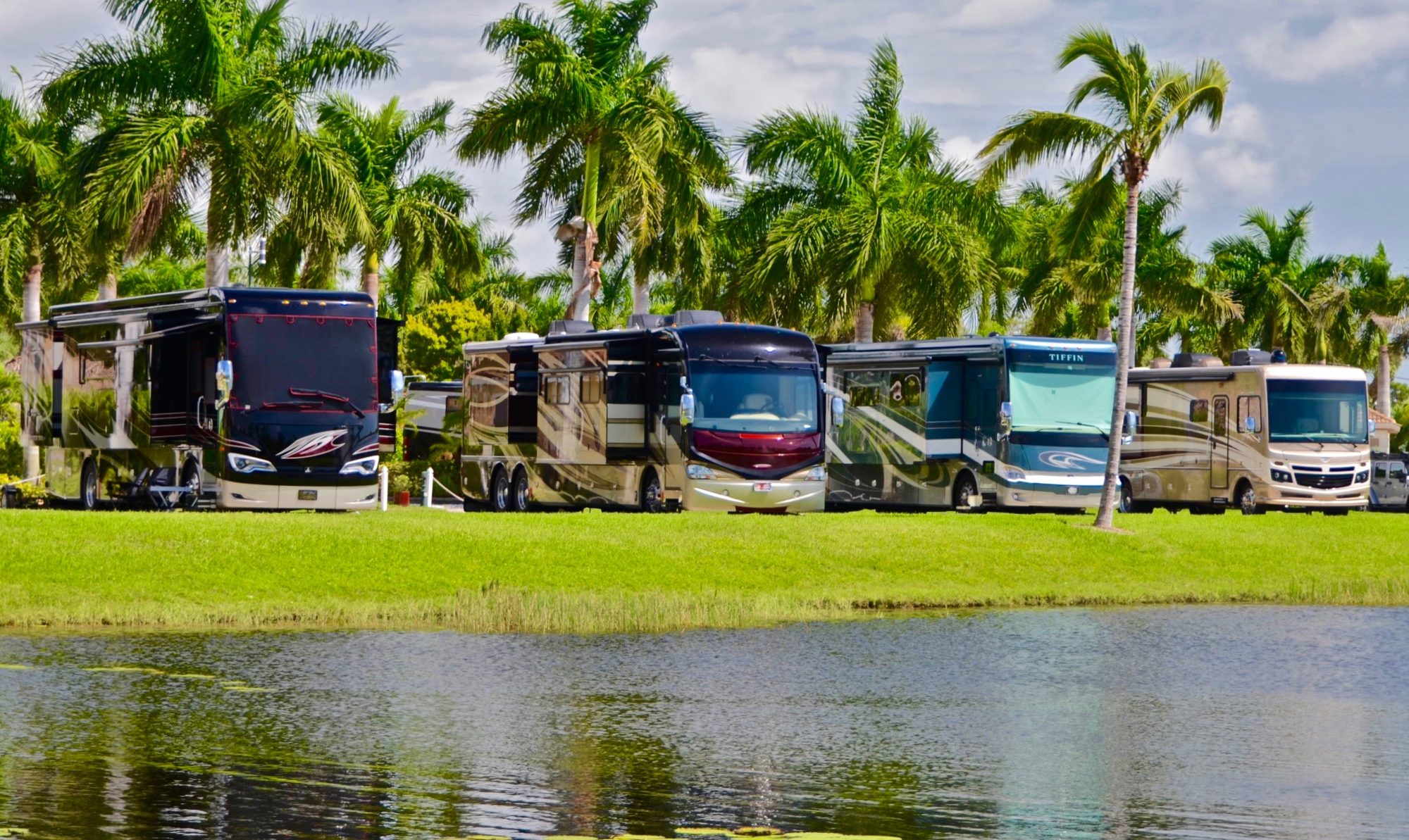 A motorhome parked among palms at a Florida RV park